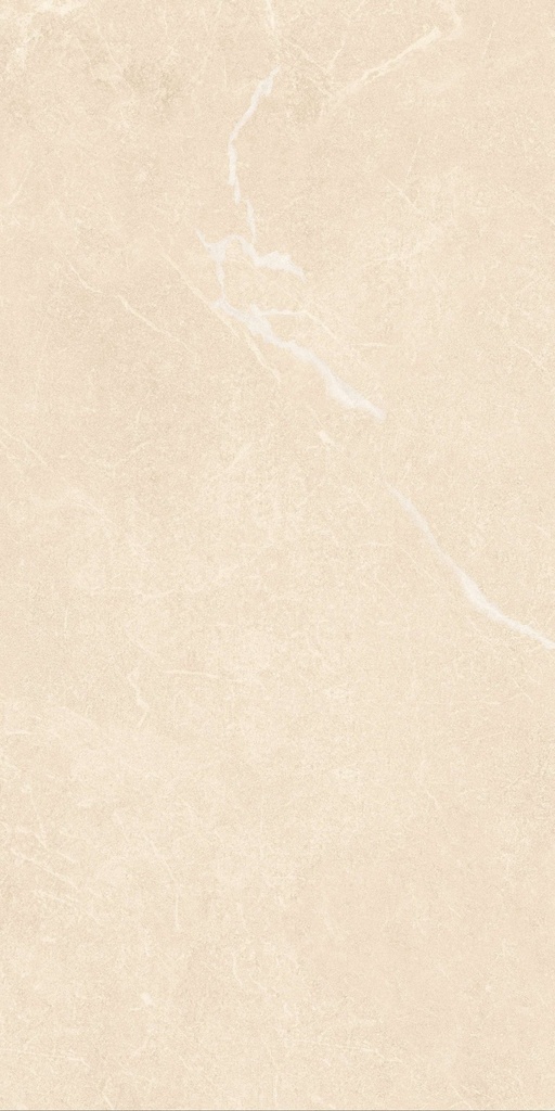 Gạch men matt 300x600mm mã SMM-36013