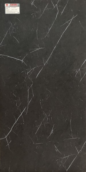 Gạch lát nền taicera 60×120 g12809