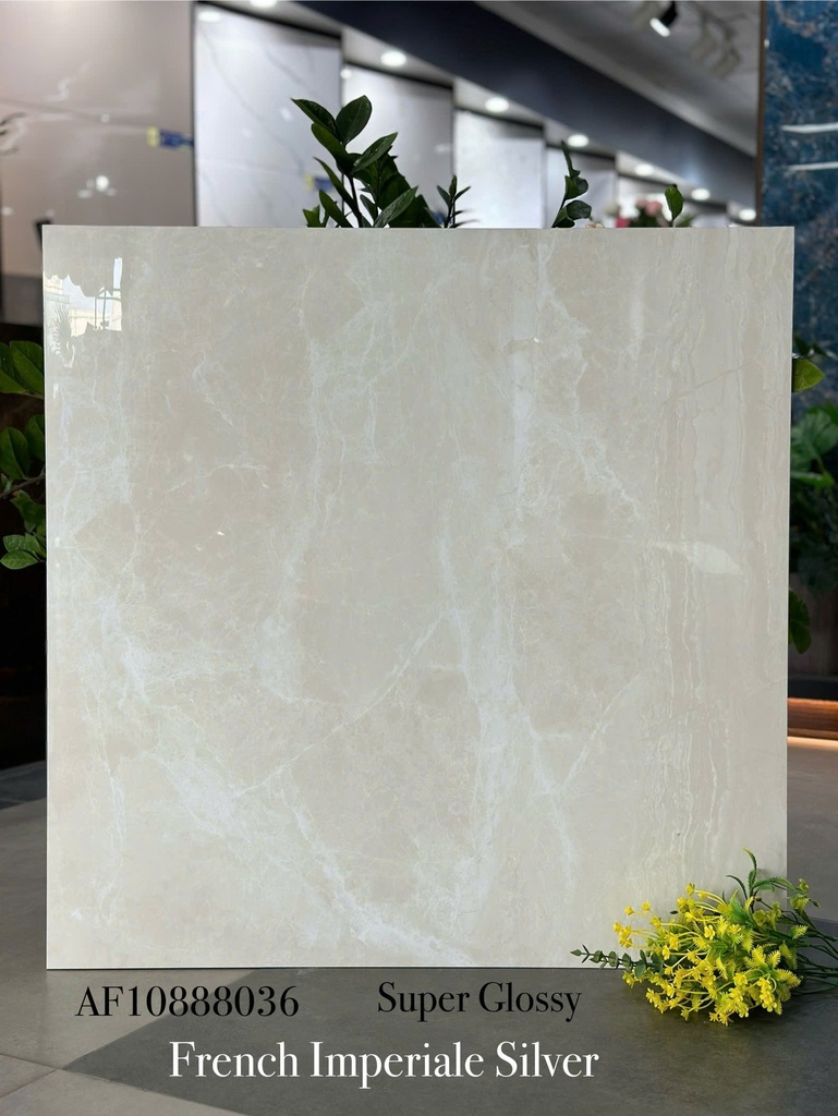 Gạch Apodio 80x80 AF.10.88.8036