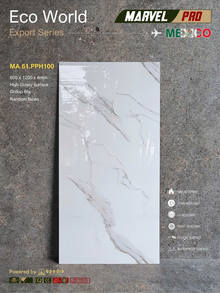 Gạch ốp lát Apodio MA.61.PPH100