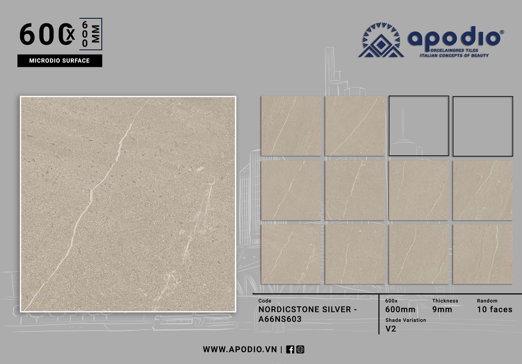 Gạch ốp lát Apodio A66NS603 (Matt tinh thể)