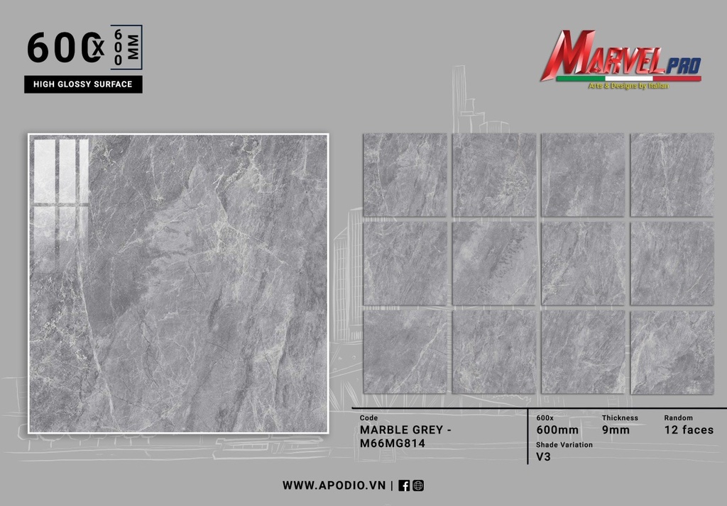 Gạch ốp lát Apodio M66MG814 (Bóng)