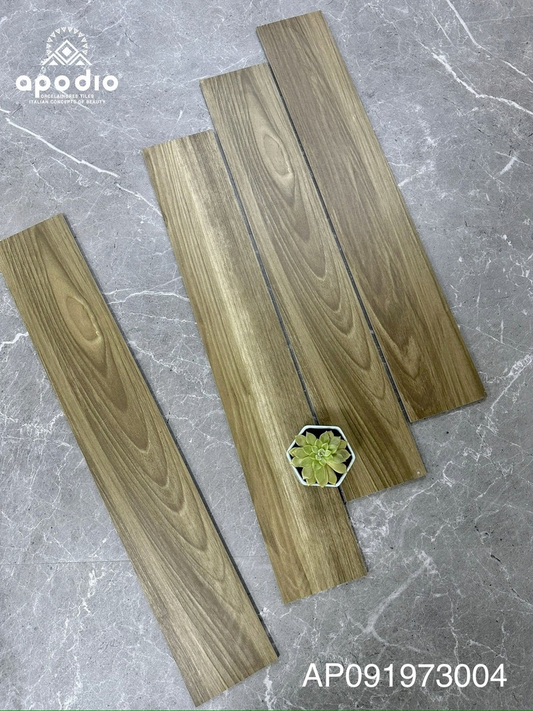 Gạch ốp lát Apodio AP 091973004 (15x90 cm)