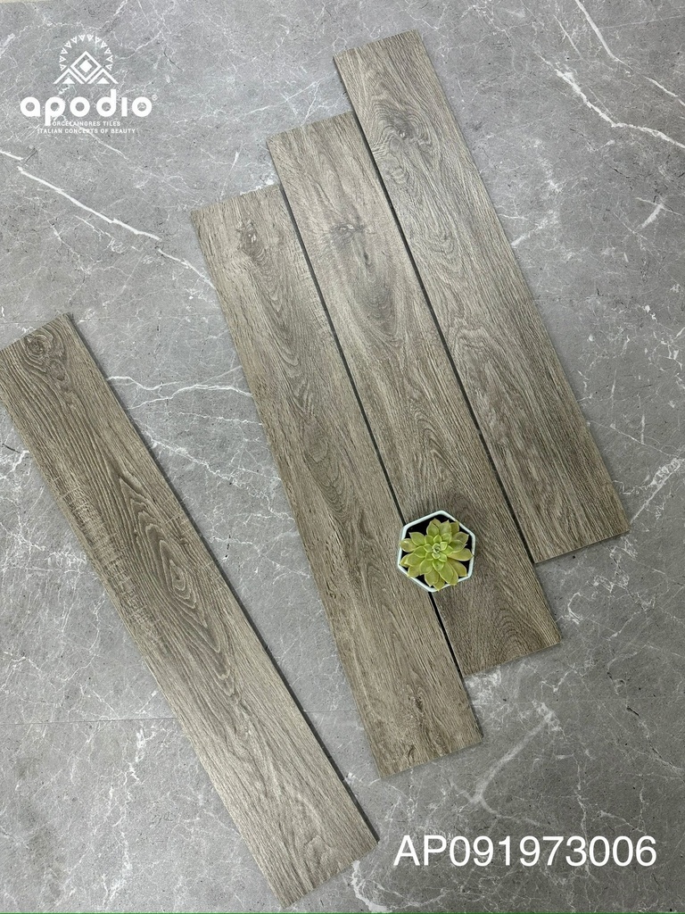 Gạch ốp lát Apodio AP 091973006 (15x90 cm)