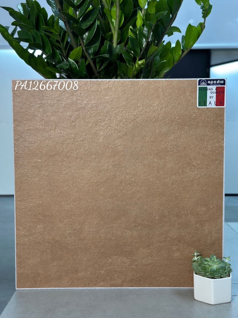 Gạch ốp lát Apodio PA12667008 (dày 12mm)