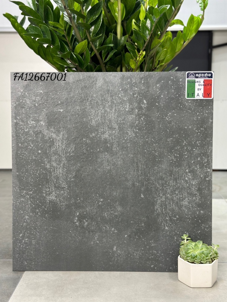 Gạch ốp lát Apodio FA12667001 (dày 12mm)