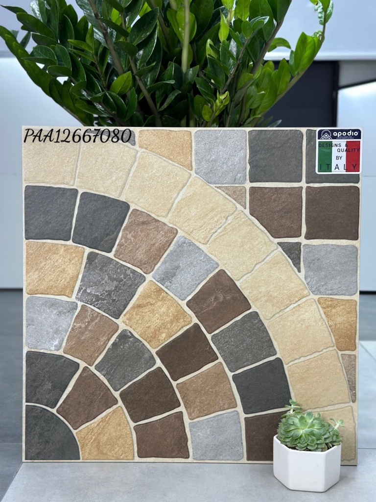 Gạch ốp lát Apodio PAA12667080 (dày 12mm)