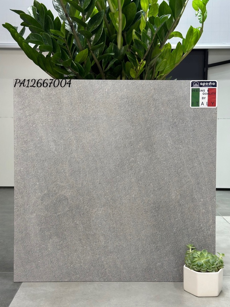 Gạch ốp lát Apodio PA12667004 (dày 12mm)