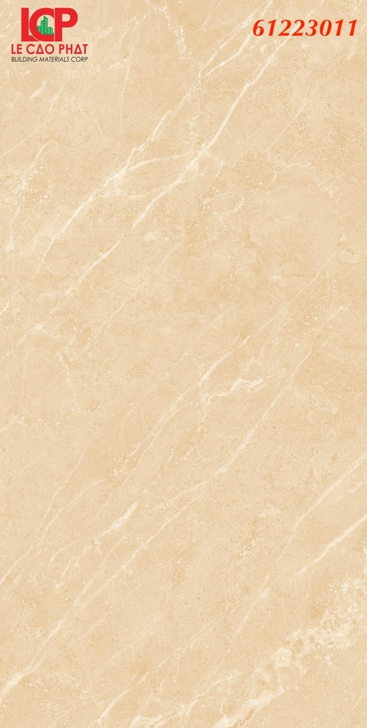 Gạch ốp lát Apodio  61223011