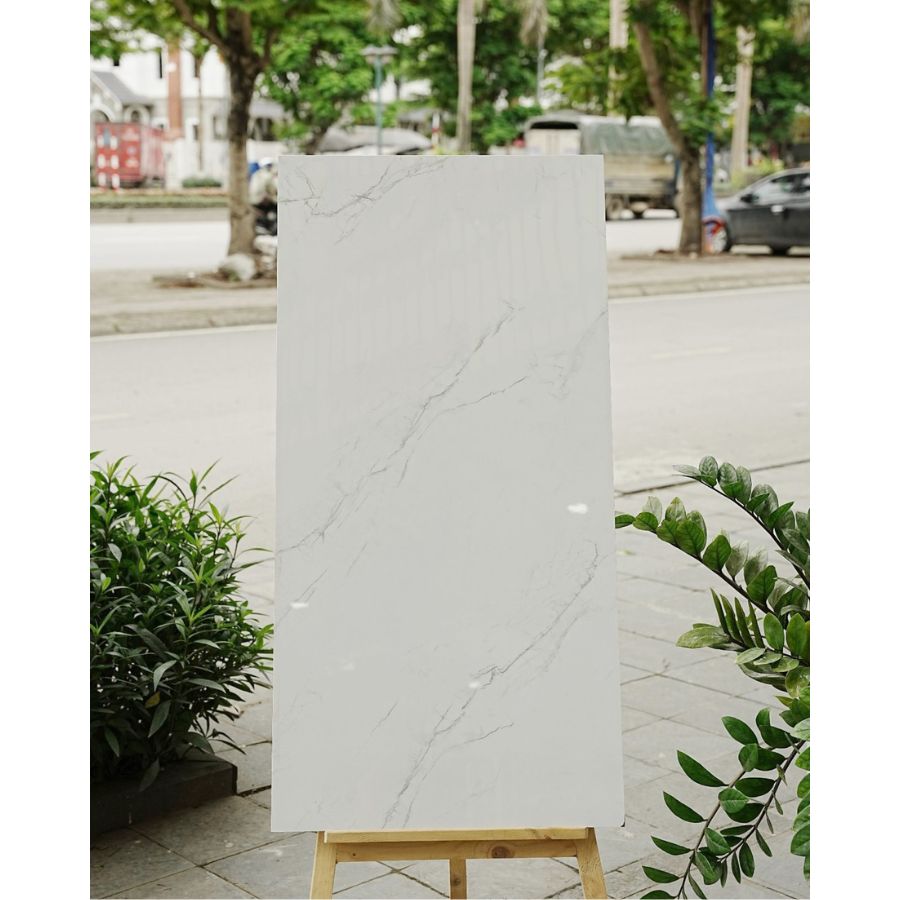 Gạch Ấn Độ KT 600x1200mm HARMONY BIANCO