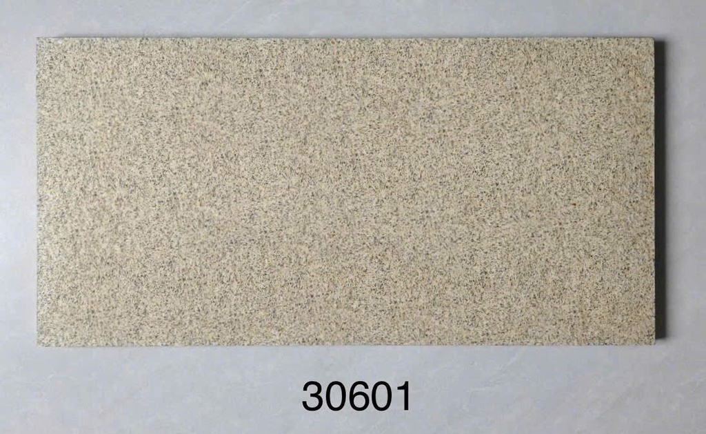 Gạch sân vườn 300x600 KL-30601