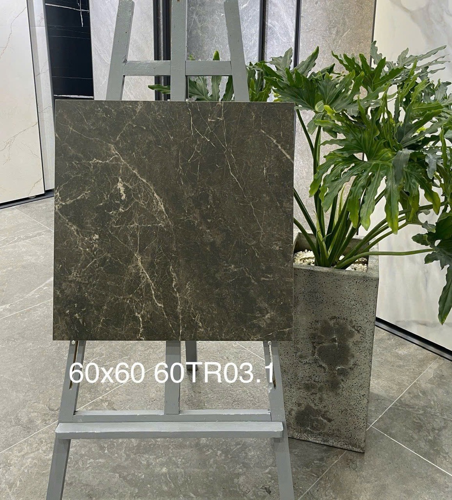 Gạch ốp lát 600x600 mã 60TR03