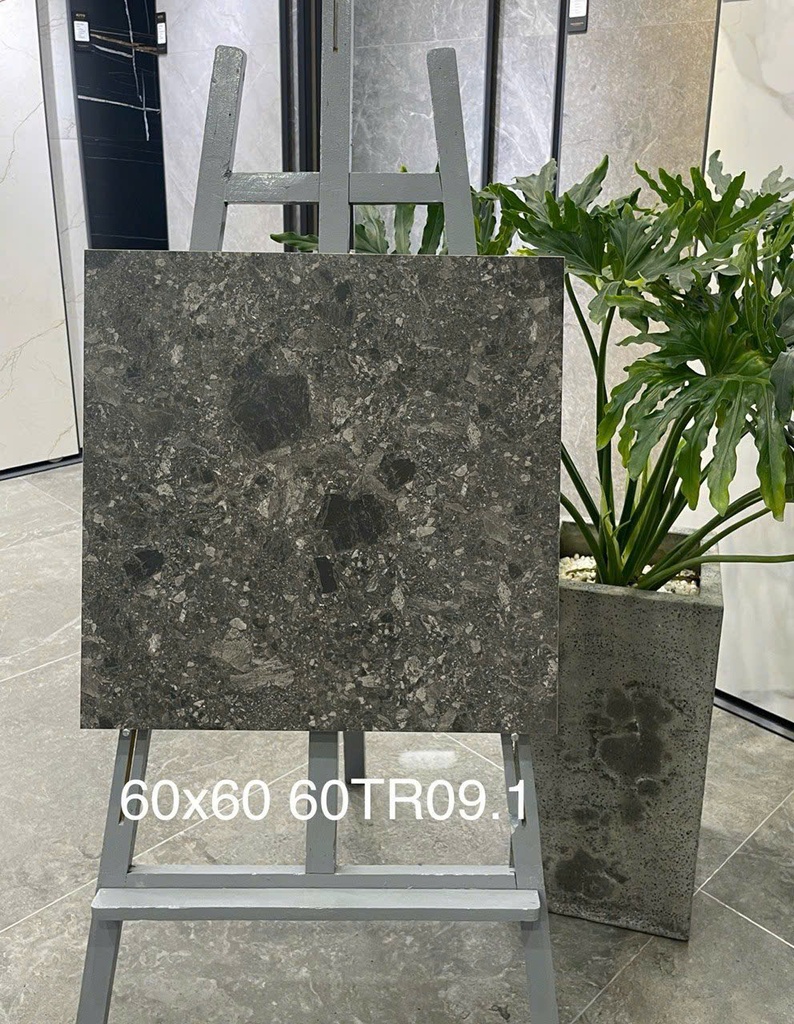Gạch ốp lát 600x600 mã 60TR09