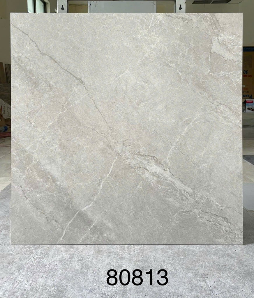 Gạch ốp lát 600x600 mã 80813