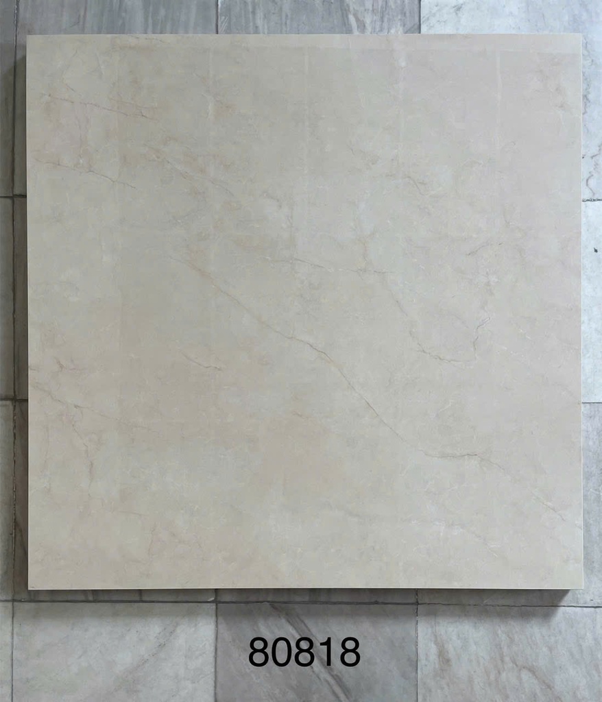 Gạch ốp lát 600x600 mã 80818