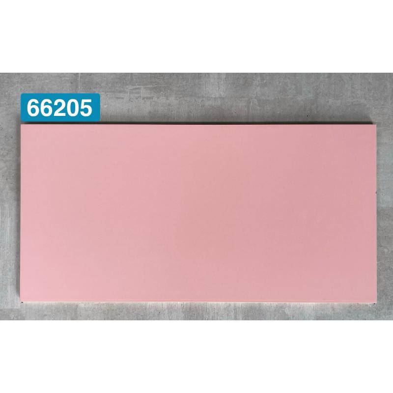 Gạch ốp tường 300x600mm 66205