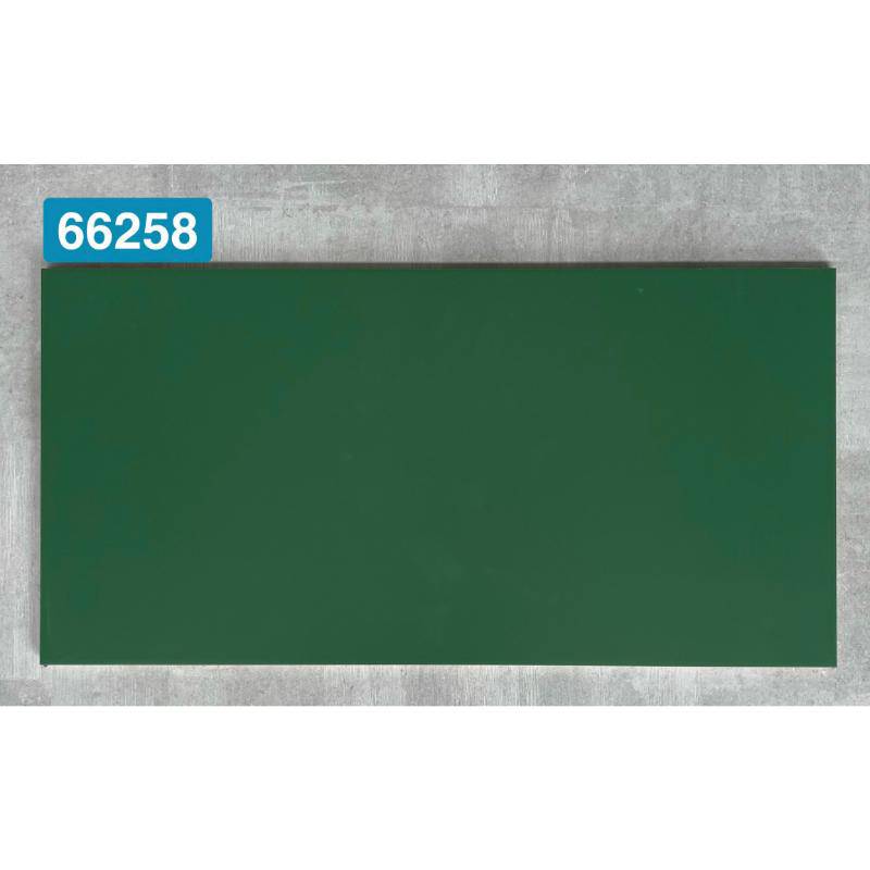 Gạch ốp tường 300x600mm 66258