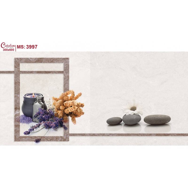 Gạch ốp tường 30x60 Catalan 3997