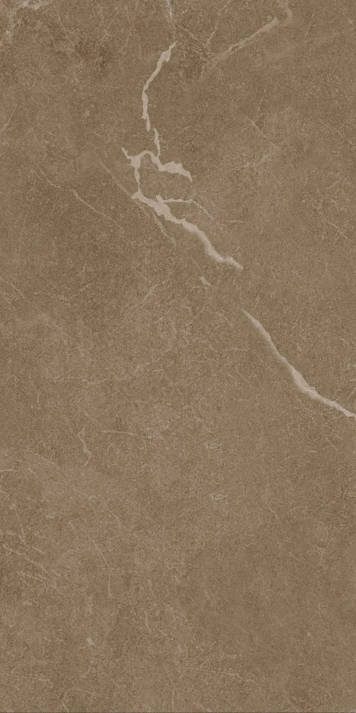 Gạch men matt 300x600mm mã SMM-36014