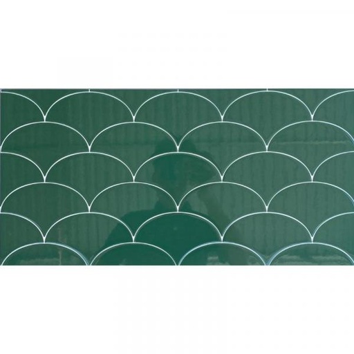 [6519] Gạch vảy cá KT 30*60 mã 6519