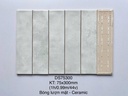 Gạch thẻ Việt Nam, Trắng bóng lượn, KT 75x300 mm, DS75300 (1 hộp/ 50 viên/ 1.125m2)