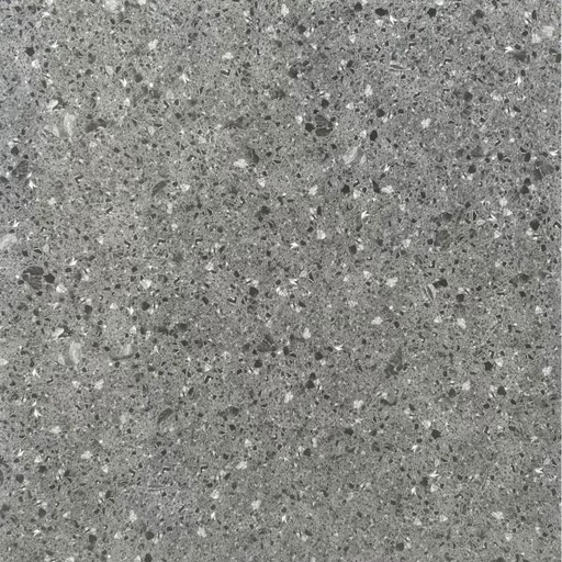 [6057] Gạch Terrazzo Porcelain mờ phẳng KT 600x600mm mã 6057