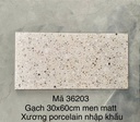 Gạch Terrazo porcelain men matt 300x600mm