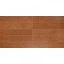 Gạch ốp tường giả thẻ 30x60cm men matt mã NSR119