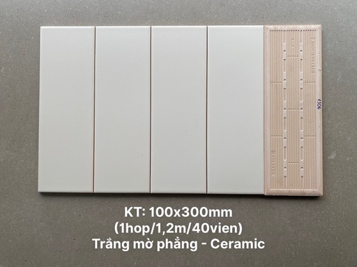 [DSH-STA1306] Gạch thẻ trắng mờ phẳng KT 100x300mm STA1306