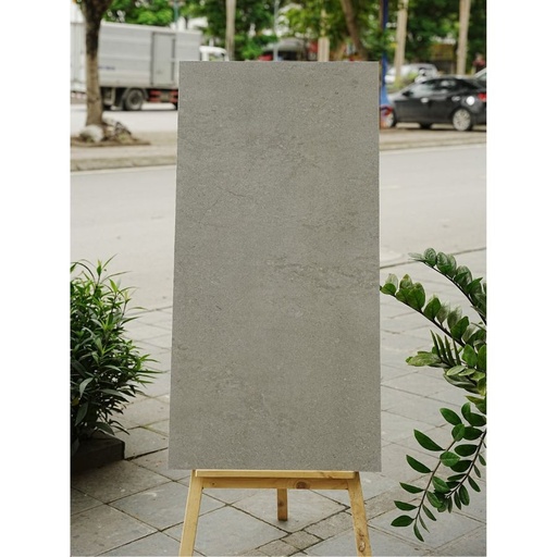 [DSH-35215] Gạch Ấn Độ KT 600x1200mm Altron Grey
