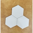 Gạch Bông Lục Giác 200x230mm FL 201