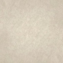 Gạch lát nền taicera 30×30 g38910nd