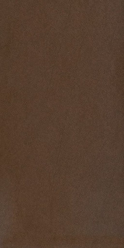 [g63911] Gạch lát nền taicera 30×60 g63911