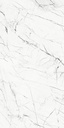 Gạch lát nền taicera 60×120 gp12905J