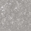 Gạch Terrazzo IC6602