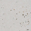 Gạch Terrazzo IC6619