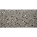 Gạch Terrazzo IN306114