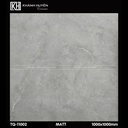 Gạch ốp lát 1000×1000 TQ-11002