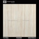 Gạch ốp lát 1000×1000 TQ-10066