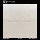 Gạch ốp lát 1000×1000 TQ-10059