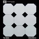 Gạch ốp lát 300×300 TQ-3025