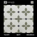 Gạch ốp lát 300×300 TQ-3070