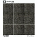 Gạch ốp lát 300×300 TQ-3034
