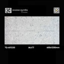 Gạch ốp lát 600×1200 TQ-601250
