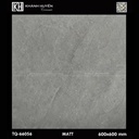 Gạch ốp lát 600×600 TQ-66056