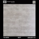 Gạch ốp lát 600×600 TQ-66020