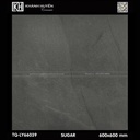 Gạch lát nền 600×600 TQ-LY 66039