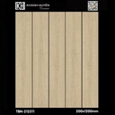 Gạch ốp lát 200×1200 TBN-212511