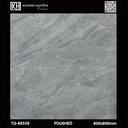 Gạch ốp lát 800×800 TQ-88558