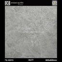 Gạch ốp lát 800×800 TQ-88013